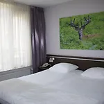 호프 반 퍼튼