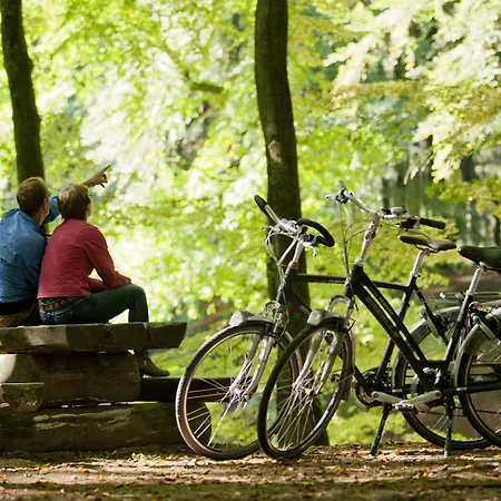 ホテル ホフ ファン 4*