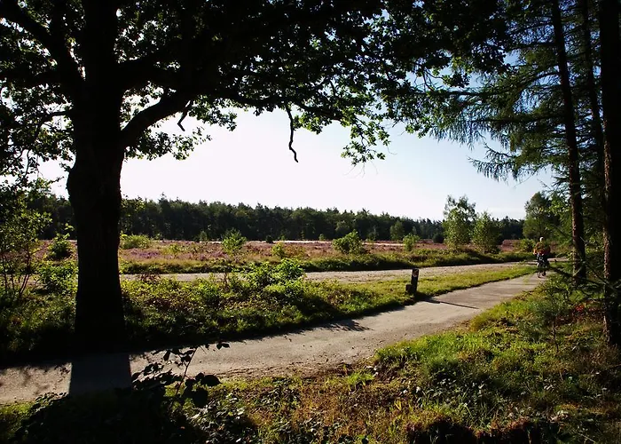 霍夫万普滕酒店 酒店