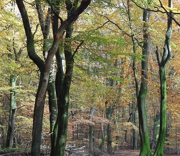 霍夫万普滕酒店 4*