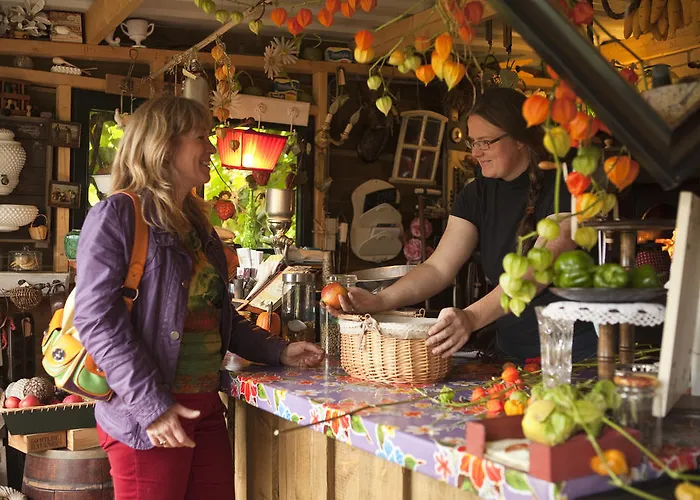 霍夫万普滕酒店 4* 皮滕